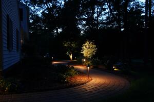 Low Voltage Landscape Lighting at night