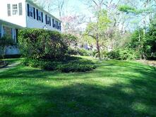 Front yard Before