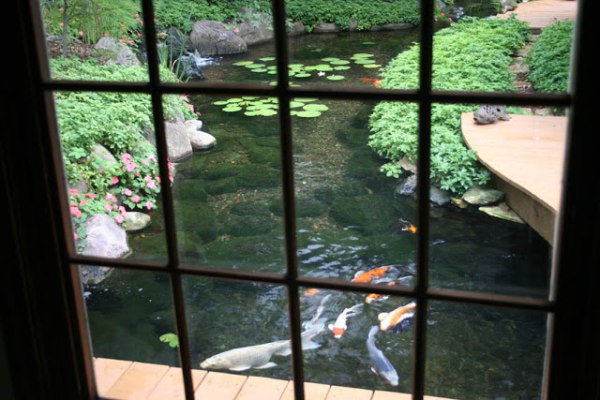 Outdoor Water Garden Koi Pond