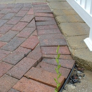 pavers not swept and compacted