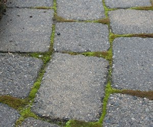 What is Polymer Sand for Pavers?