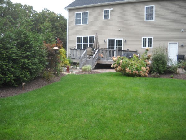 Home with small patio and backyard