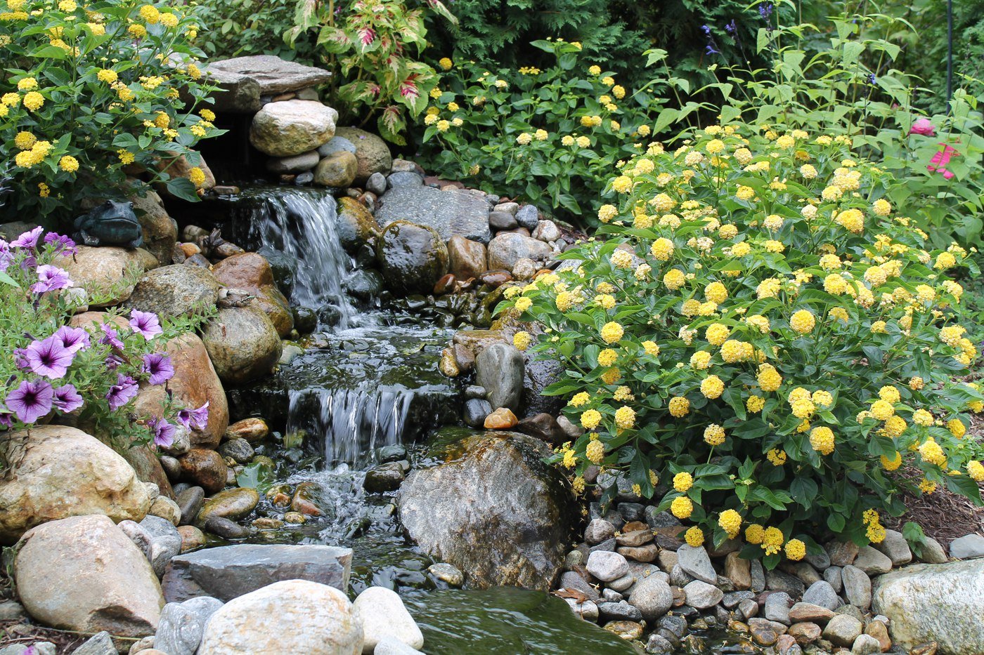 How to Prepare your Water Feature for the Upcoming Spring