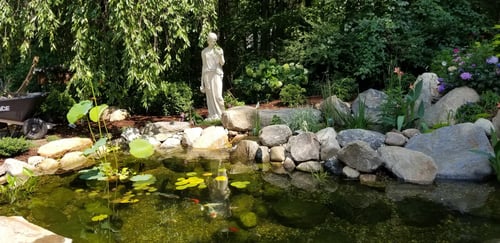 large fish pond with wetland bog filter and streams