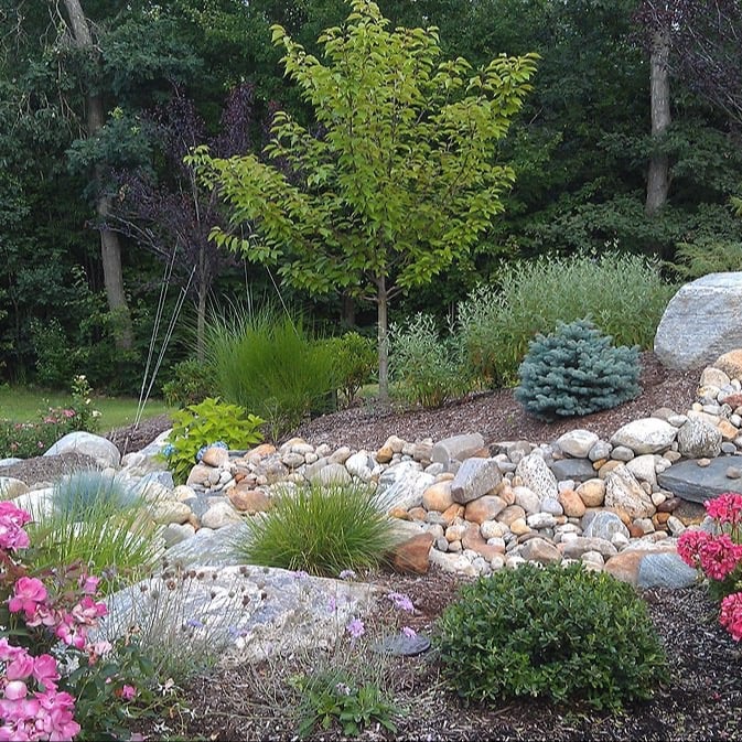 bahler-brothers-hillside-plantings-flowers