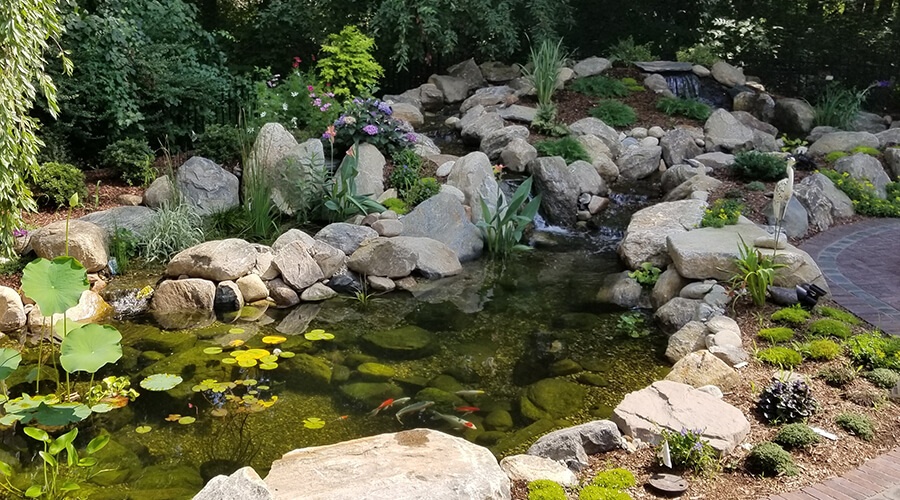 koi pond with 2 streams and wetland bio filter installed in Connecticut by Bahler Brothers