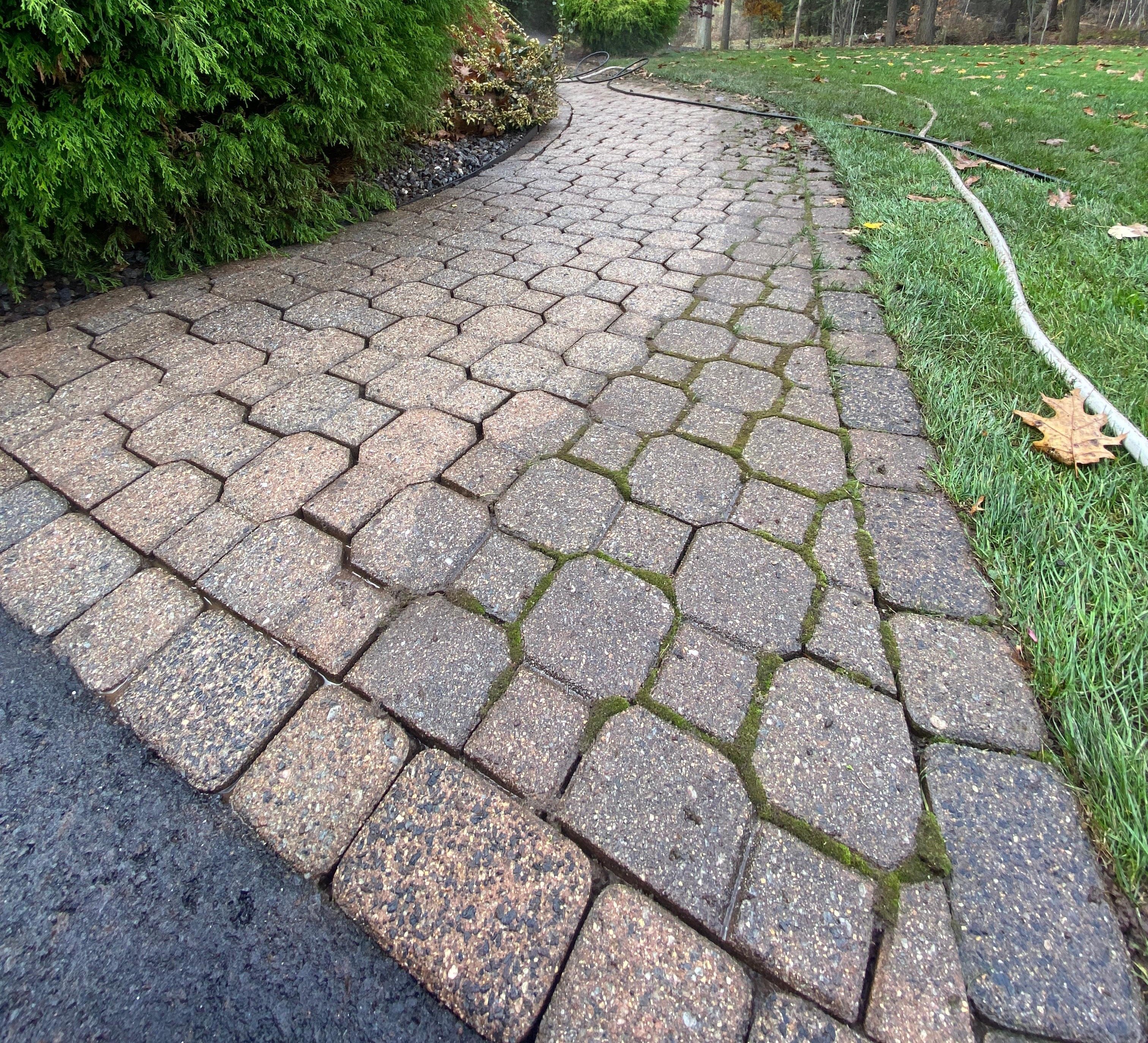 What is Hardscape Cleaning & Maintenance & When Should I be Doing it?